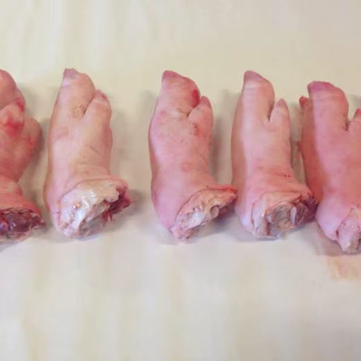 Wholesale Frozen Pork Leg