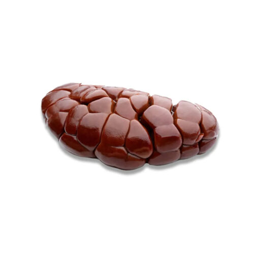 frozen-beef-kidney.jpg FROZEN BEEF KIDNEY