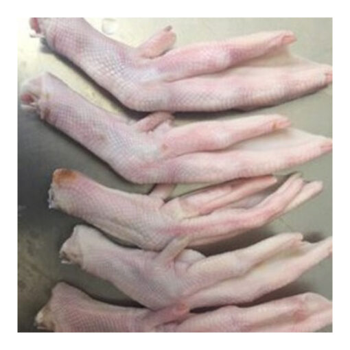 halal-frozen-duck-paws-rosa-1200.jpg Halal Frozen Duck Paws