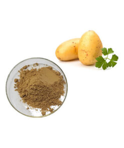 Potato Starch Flour