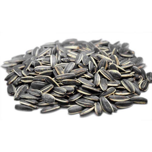 sunflower_seeds-500x500-1.jpg Sunflower Seed