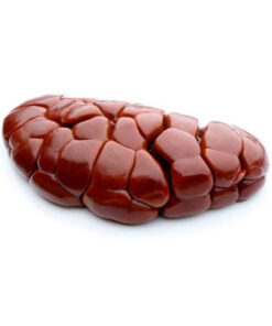 wholesale-halal-frozen-buffalo-kidney